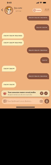 ZLOOK chat screen showing messages and a photo reveal request